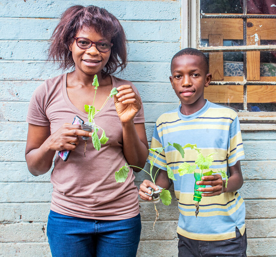 hydroponics-zambia