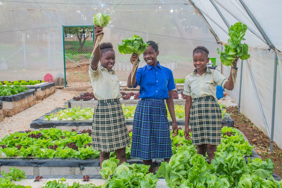 Schoolgirls in hydroponics greenhouse in Zambia