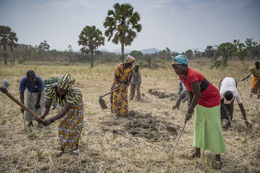 Female members of the Jujumbu Farmers group till the land