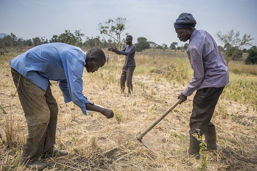 Male members of the Jujumbu Farmers group cultivate the land.