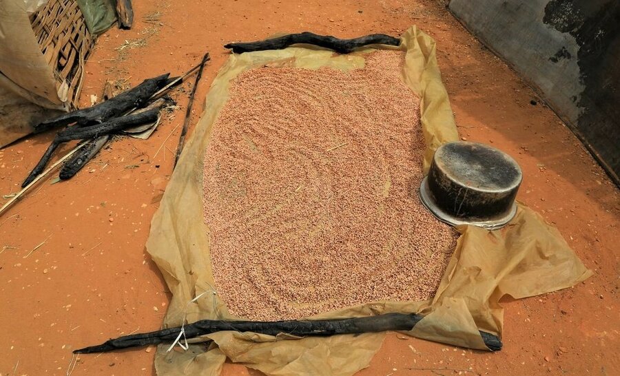 Sorghum distributed by WFP is pictured as it dries.