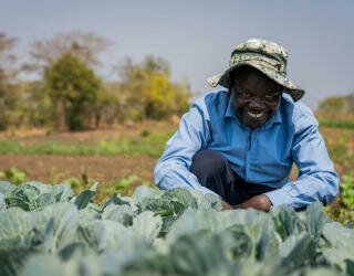 Kakhobwe's irrigation scheme, under DFID funded Prosper programme in Malawi. Photo: WFP/Badre Bahaji