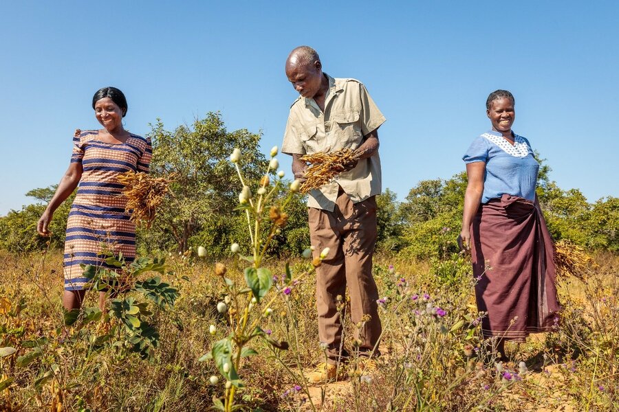 Zambia