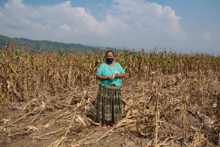 Woman stood in field