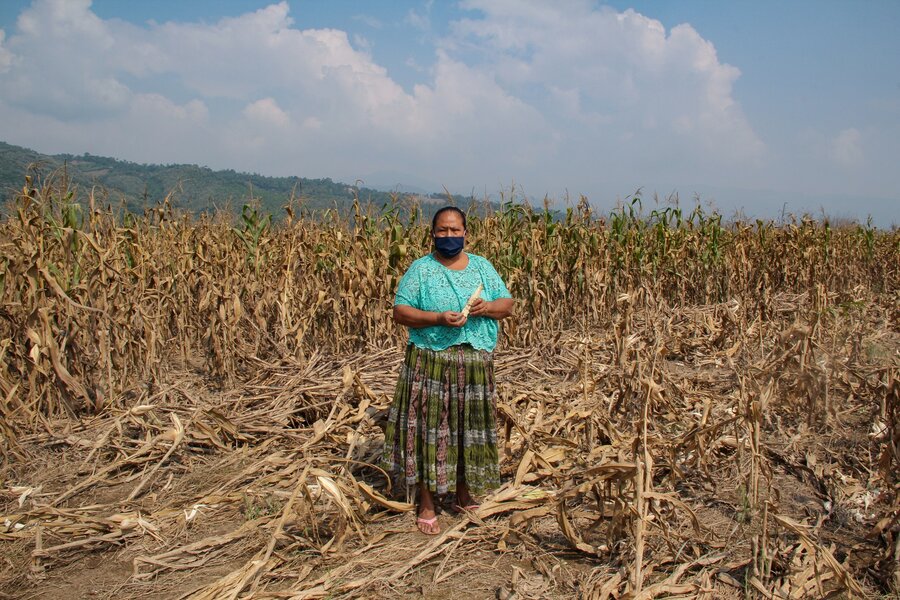 Woman stood in field