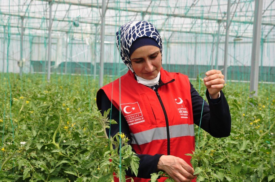 Dalia taking good care of the plants at the camp's greenhouse