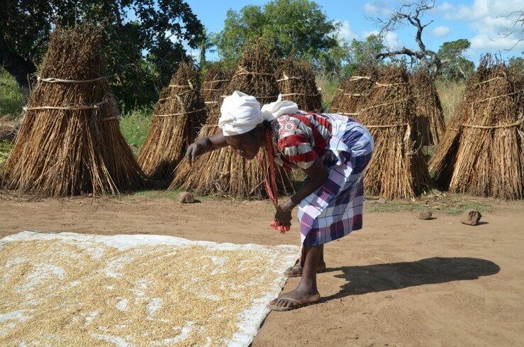 A woman working on food production.