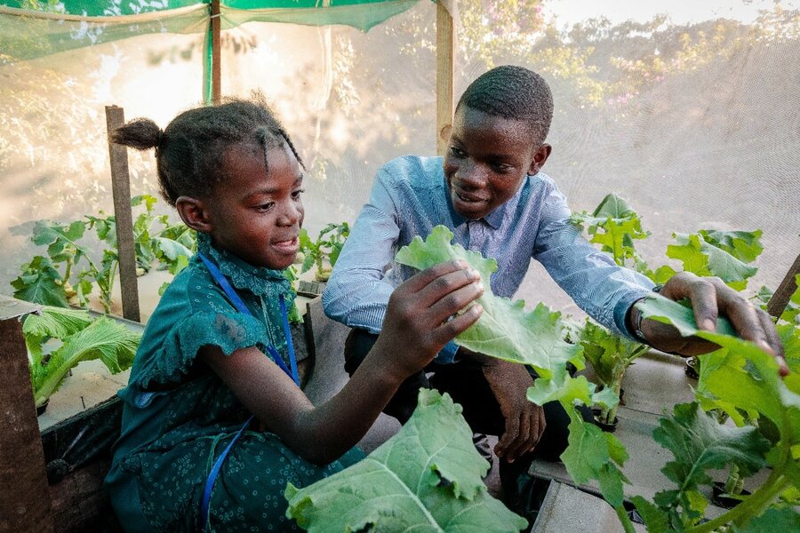 A boy teaching a little girl about hydroponic gardening.