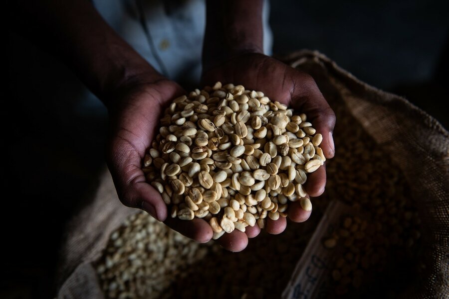 A pair of hands holding grain.