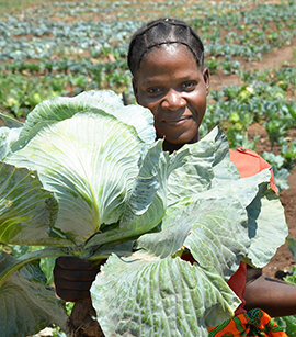 Melissa in Zimabwe