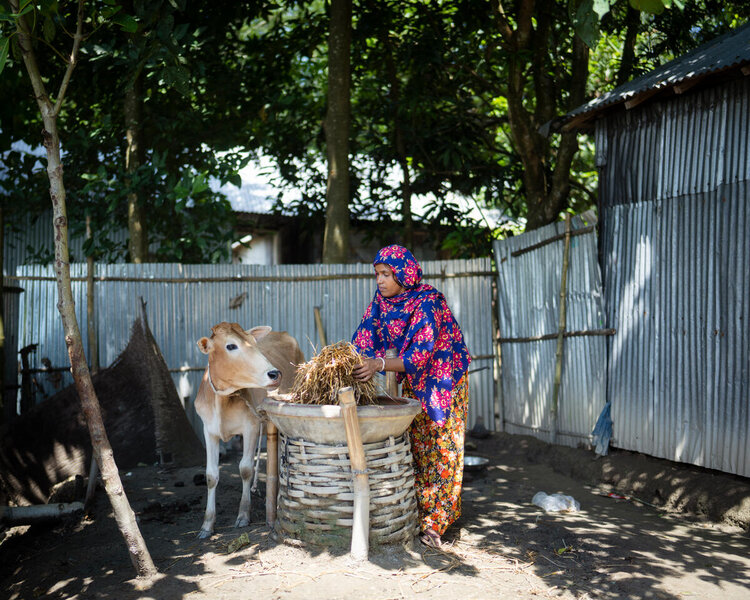 Bangladesh