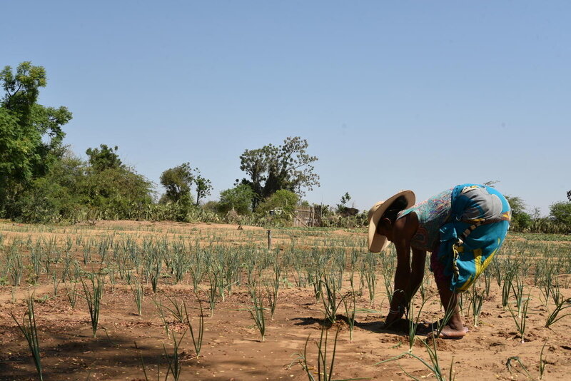 Odile_Madagascar