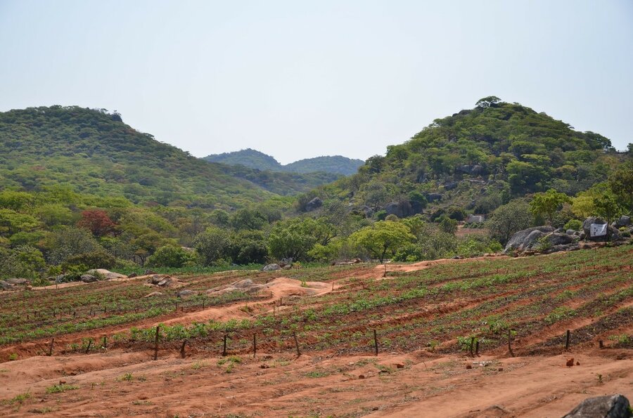 A landscape shot of green hills and brown land.