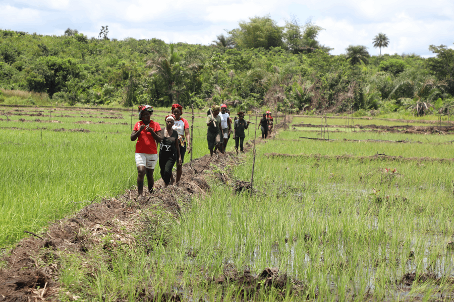 Women working together on the field