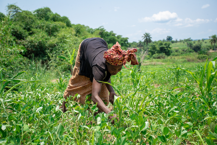 A woman bending down to inspect crops in a field.