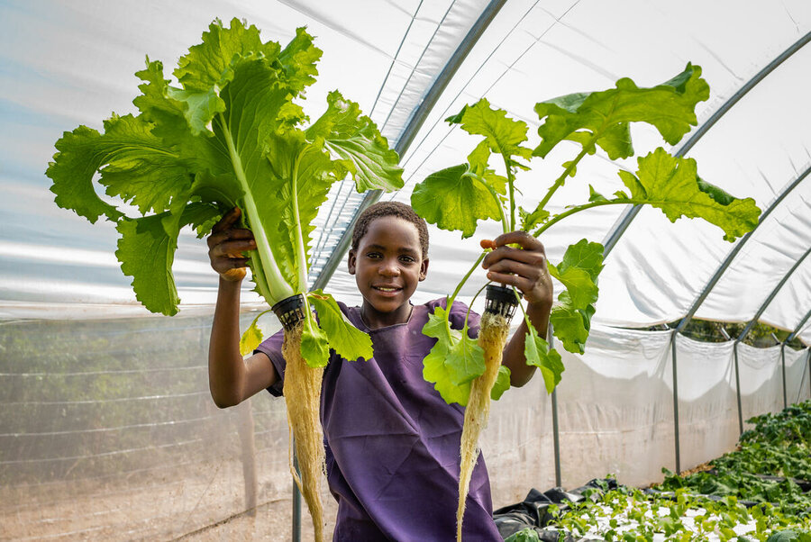 Crops produced in the hydroponic garden at Purity’s school in Zambia are used for school meals and the surplus is sold to the community. WFP/Andy Higgins
