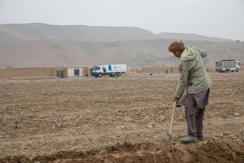 Farming project in Balkh Afghanistan