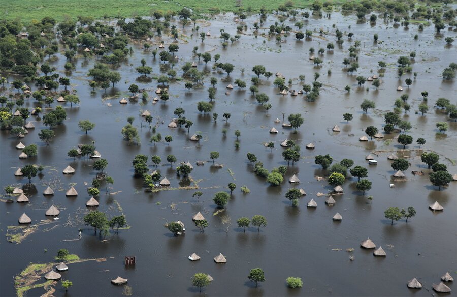 Initial studies from the Food and Agriculture Organization (FAO) suggest about 65,000 hectares of cultivated land have been damaged due to floods. Photo: WFP/Marwa Awad