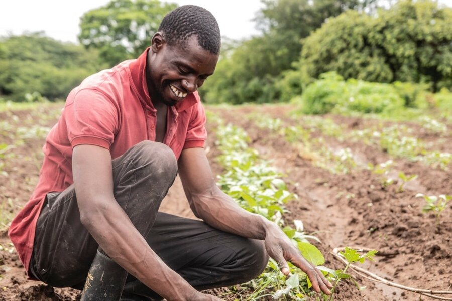 Twaanabo in his soyabean field. Photo: WFP/Catherine Zulu