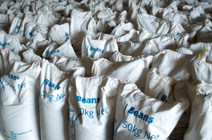 WFP bags of beans In Zambia