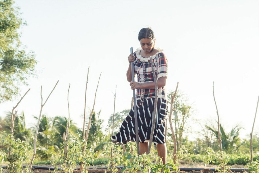 Woman farmer tilling soil in Sri Lanka