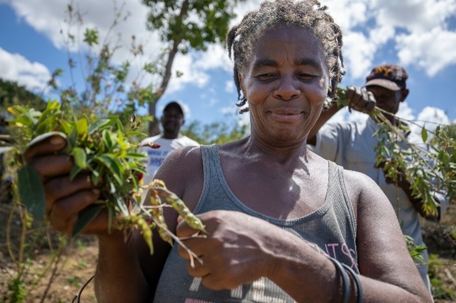  A farmer in an irrigation project in Haiti