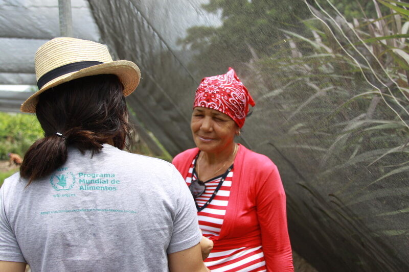 A drough-resilience project in San Antonio del Sur, Cuba in 2017. Photo: Drought resilience activities in San Antonio del Sur, Cuba.  Photo: WFP/Yursys Miranda 