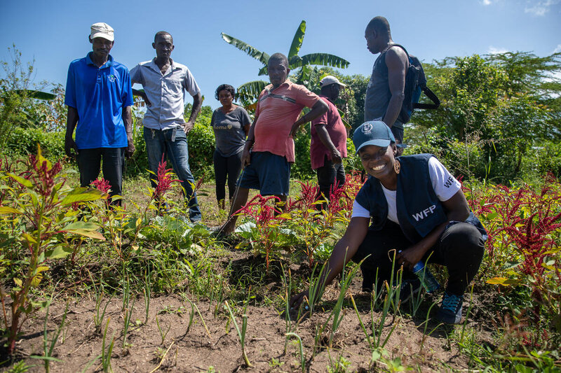 A food for assets project in Limonade, Haiti. Photo: Theresa Piorr