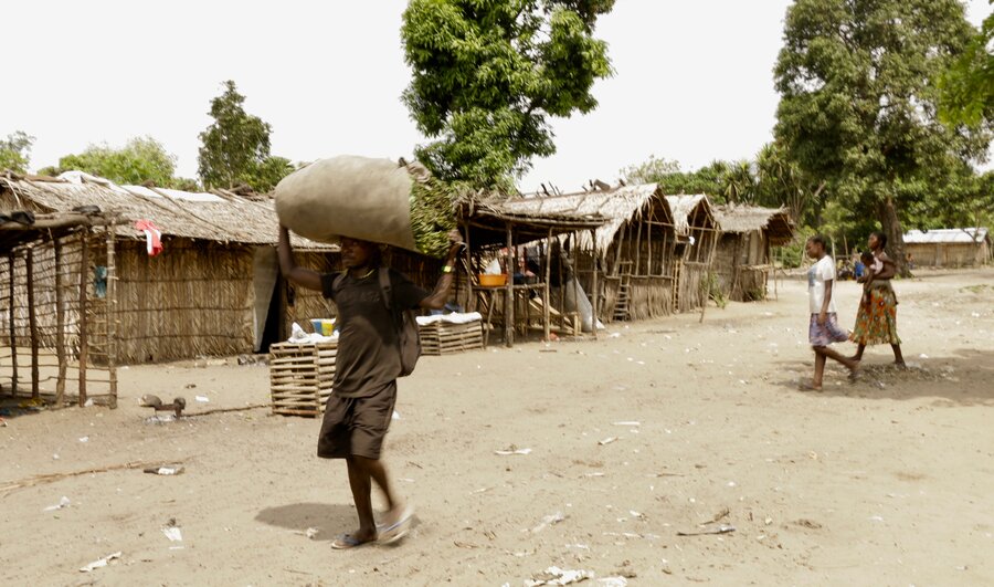 Collecting firewood in Kinduti village, DRC. Photo: Elizabeth Bryant