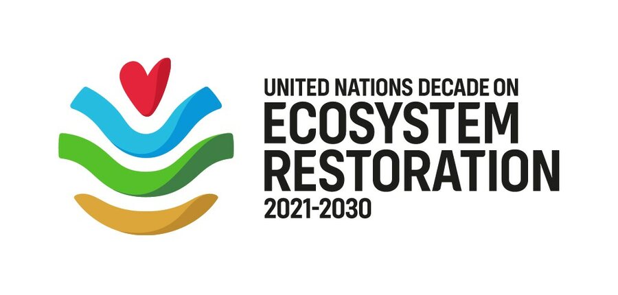 UN Decade on Ecosystem Restoration 2021 - 2030 logo
