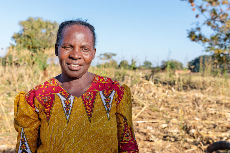A woman in Zambis stands in a harvested field