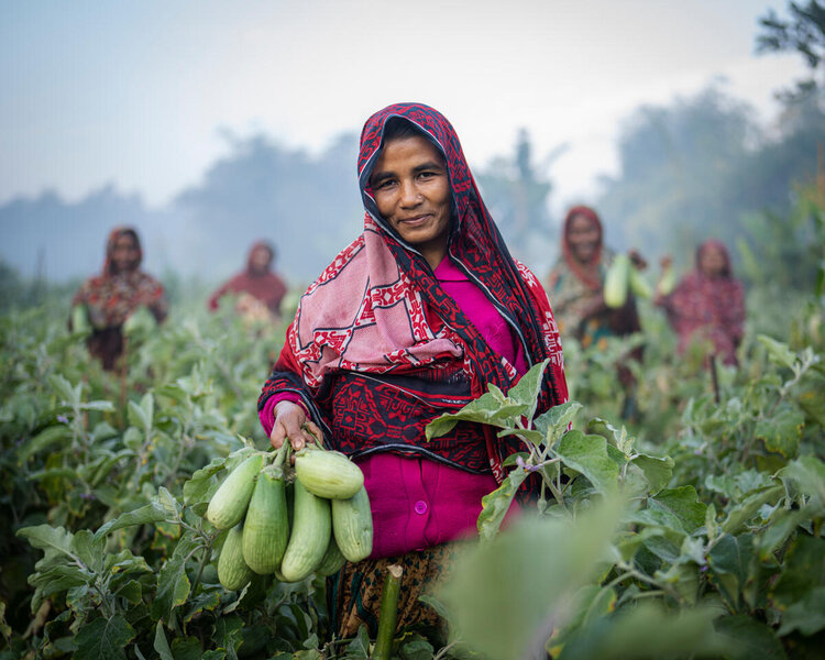 A woman in Bangladesh holds some vegetables in her field.