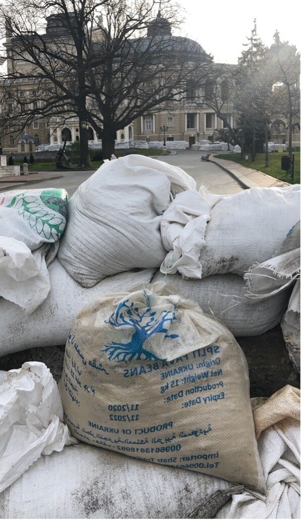 Food bags being used as sandbags to protect buildings and monuments in Odesa, Ukraine. Photo: WFP/Jonathan Dumont