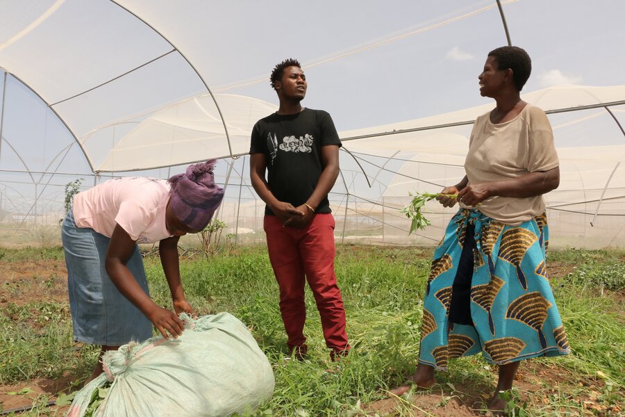 Three farmers stand in a field talking to each other. 1 is bent over a bag of crops.