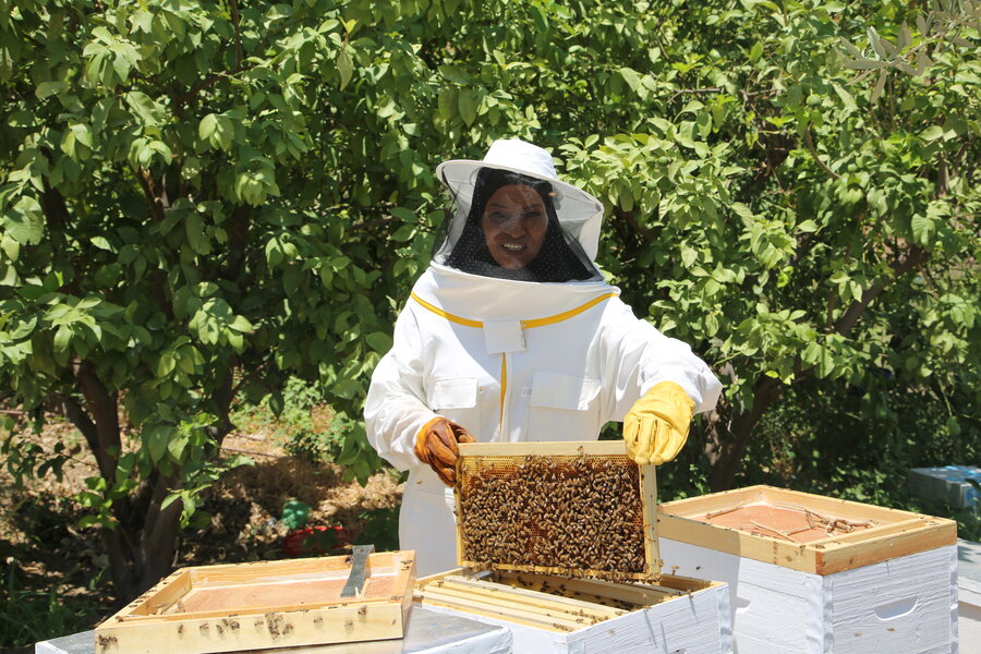 Aisha, a participant at one of WFP's resilience projects in Palestine is supporting her family and sustaining their needs through the honey production. WFP/ Nizar Khadder 