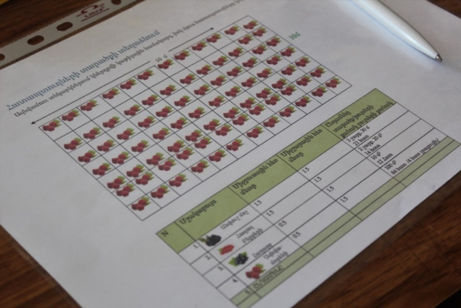 The training material describing the right ways of sowing the berry seeds.  Photo credit: WFP/Mariam Avetisyan