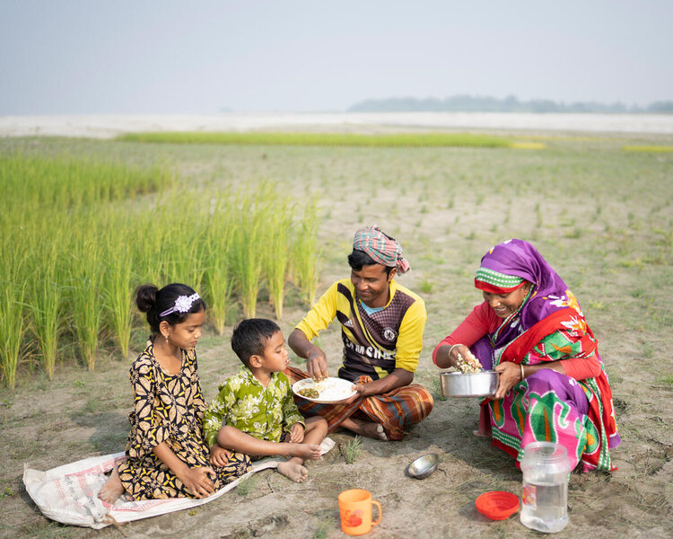 A family in Bangladesh eat a meal on the edge of a rice paddy