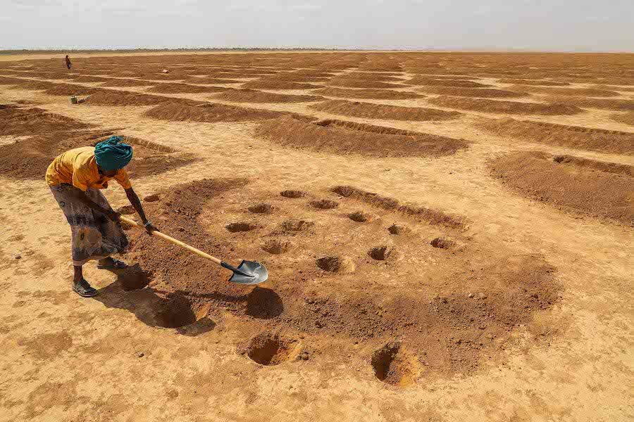 Pastoralists digging "half moons" to capture water