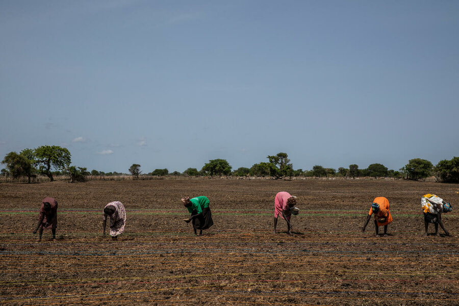 Women sow water-intensive rice in South Sudan, where floods have worsened. Photo: WFP/Gabriela Vivacqua