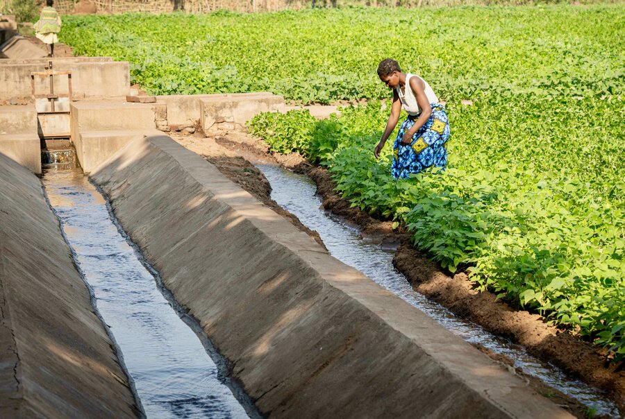 Rosie tends to her field, irrigated with WFP's solar-powered system. Photo: WFP/Badre Bahali