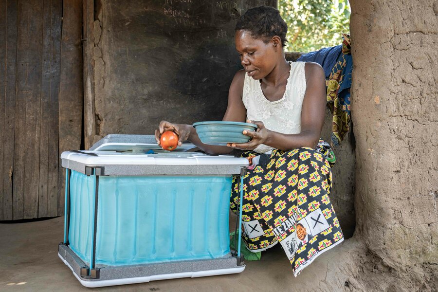 WFP's innovative 'Fenik' coolers allow farmers to keep produce fresh for longer periods. Photo: WFP/Badre Bahali