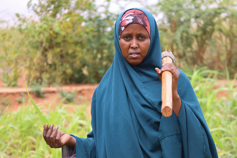 Muhiuba is a participant in a WFP resilience project near Dolow. Photo: WFP/Geneva Costopulos