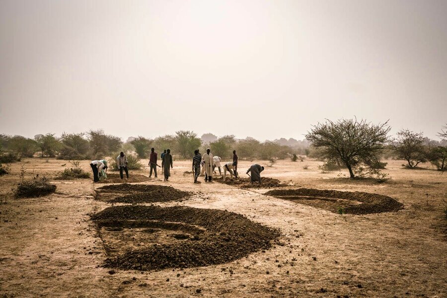 A WFP project digging half moons in Niger, which help retain rainwater and fight desertification. Photo: WFP/Evelyn Fey