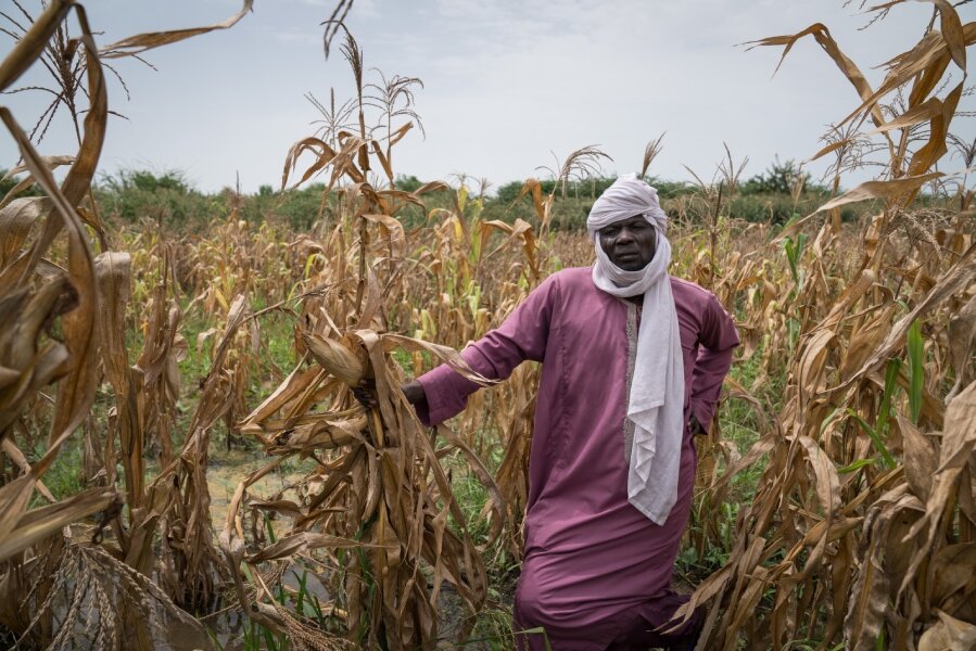 Mahamat Kary's field of maize was destroyed by floodwaters. Photo: WFP/Evelyn Fey