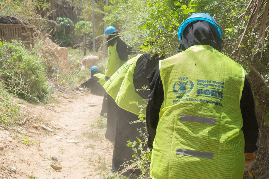 Yemen: Clearing plants from a canal Seiyun, Hadramawt, after devastating flash floods in 2021. Photo: WFP/Mohammed Awadh