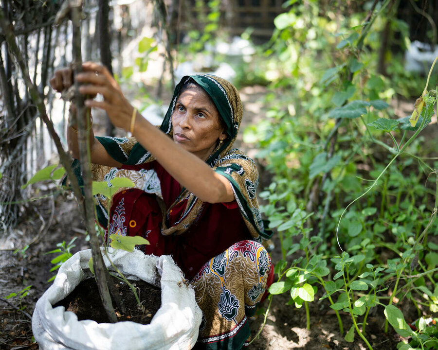 In Bangladesh, a WFP project empowers Masuda to grow vegetables in sacks to protect them from saline water. Photo: WFP/Sayed Asif Mahmud