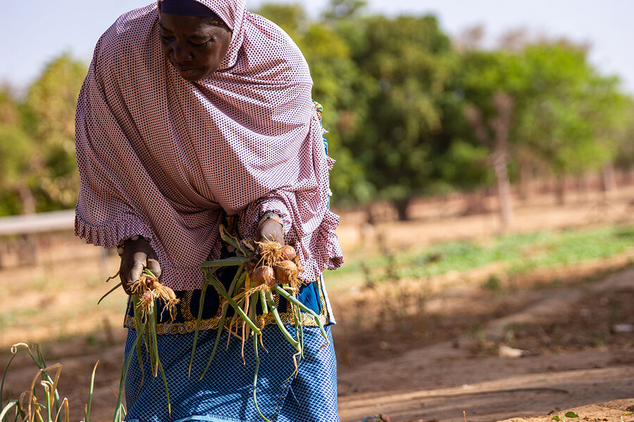 Woman in Burkina Faso field harvesting