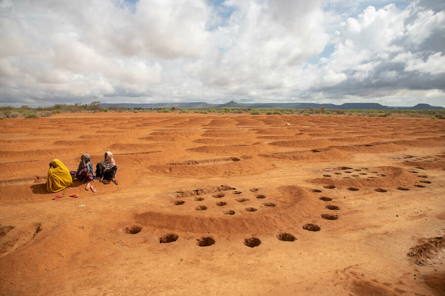 Digging half-moon shapes helps land rehabilitation by helping to retain water in Elan, in Ethiopia's Somali region. Photo: WFP/Michael Tewelde