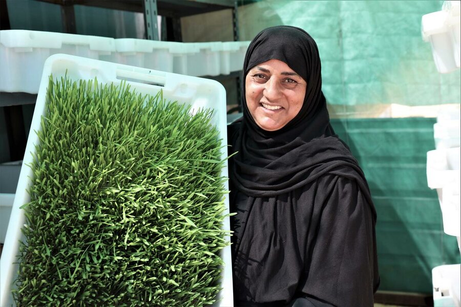 JordanNihaya, a widow and mother of three, worked with WFP to obtain training on hydroponic growing techniques, enabling her to feed her livestock fresh and healthy fodder. Photo: WFP/Julia Mills.