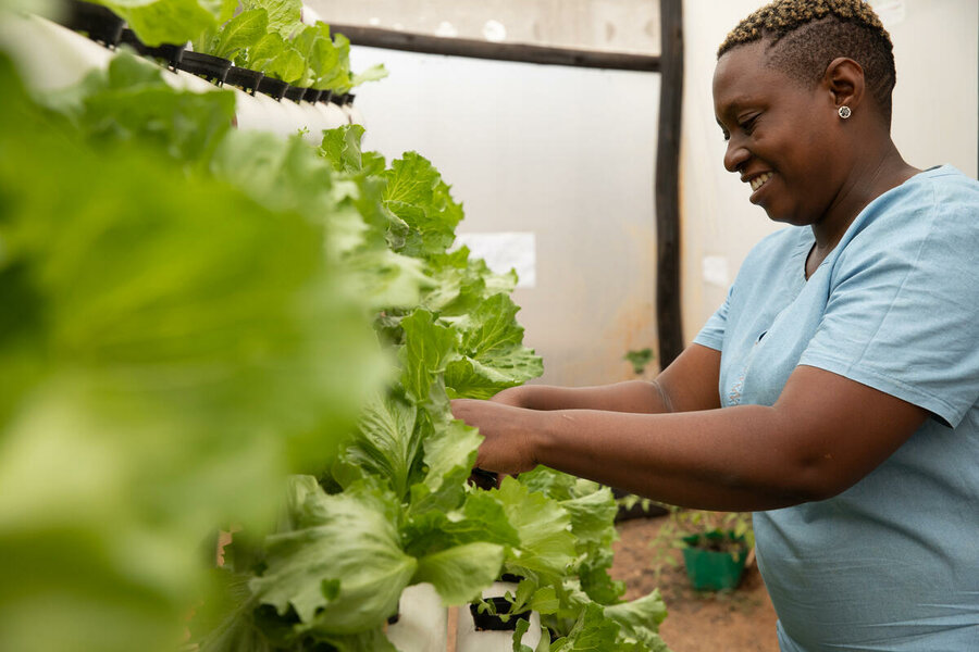 Emily checks the pH balance of her lettuces in her hydroponic garden at home in Tshabalala, Zimbabwe